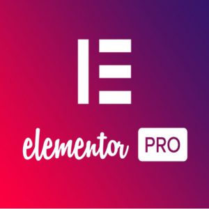 Pro Addon Elementor Page Builder WordPress Plugin